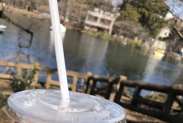 INOKA(イノカ)の写真・動画_image_253697