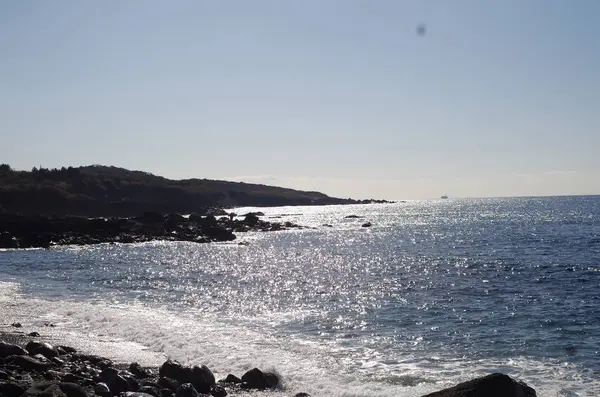 野田浜遊泳場の写真・動画_image_254011