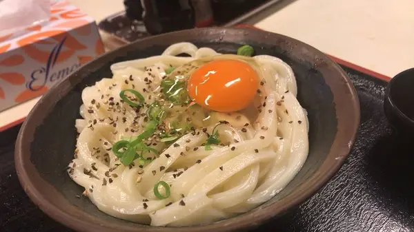 手打十段うどん バカ一代の写真・動画_image_254130