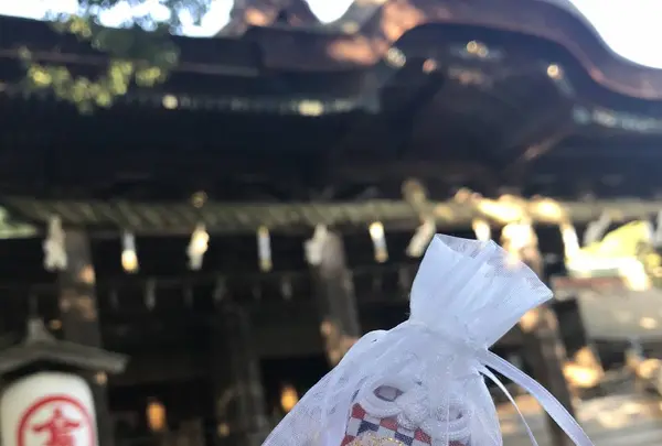 金刀比羅神社の写真・動画_image_254133