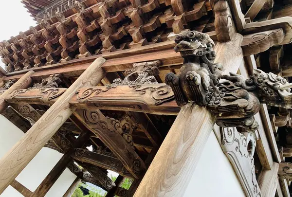 専照寺（中野本山）の写真・動画_image_254242