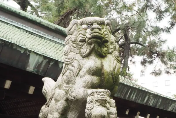 安江八幡宮の写真・動画_image_254281
