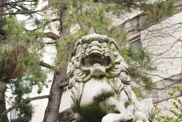 安江八幡宮の写真・動画_image_254282