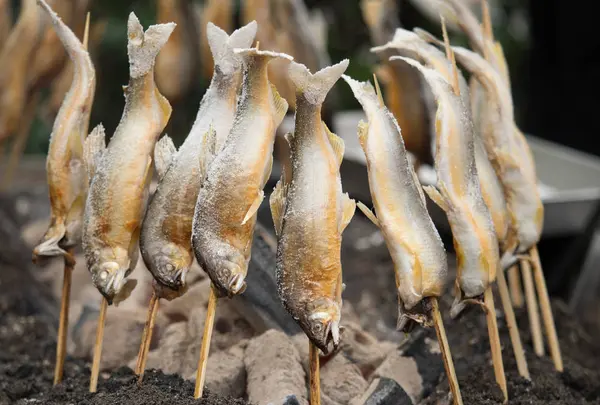 川口やなの写真・動画_image_254498