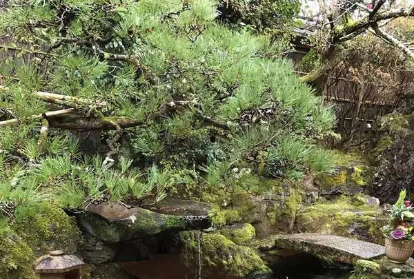洛匠の写真・動画_image_254677