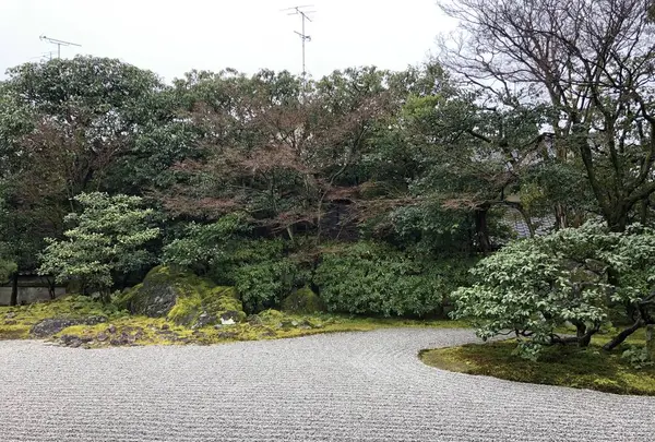 圓徳院の写真・動画_image_254782