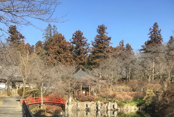 珊瑚寺の写真・動画_image_254796