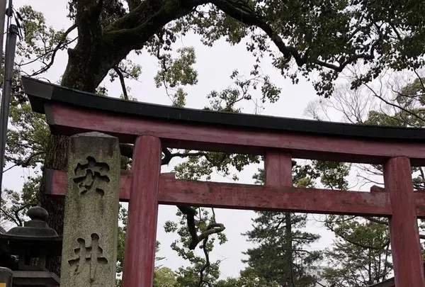 安井金比羅宮の写真・動画_image_254883