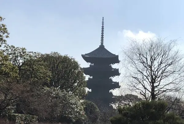 東寺（教王護国寺）の写真・動画_image_254888