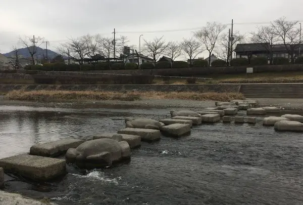 鴨川デルタの写真・動画_image_254933