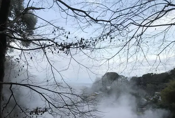 血の池地獄の写真・動画_image_255116