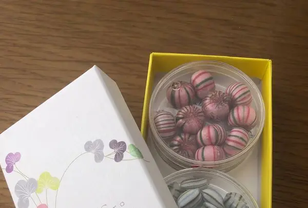 京都駅の写真・動画_image_255147