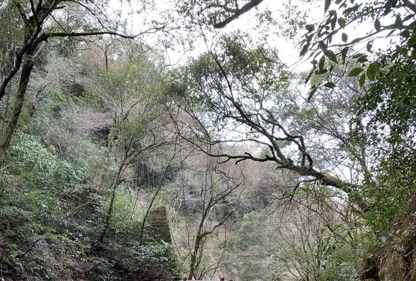 天安河原の写真・動画_image_255312