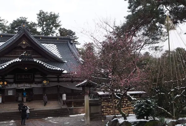 尾山神社の写真・動画_image_255342