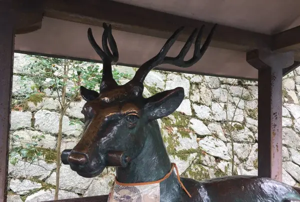 吉田神社の写真・動画_image_255370