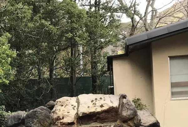 龍巻地獄の写真・動画_image_255427