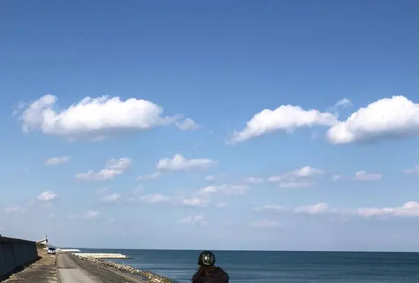 シーガイア乗馬クラブＵＭＡＩＲＵの写真・動画_image_255476
