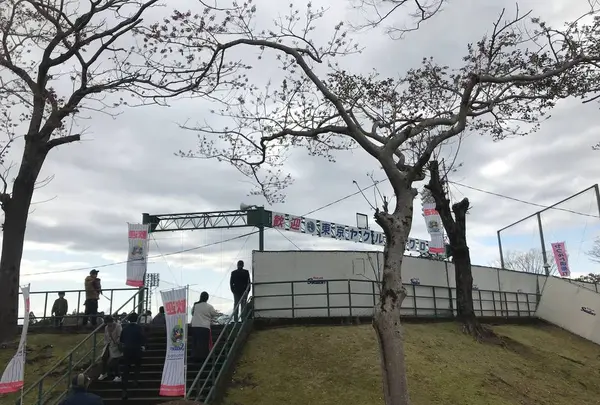 西都原運動公園の写真・動画_image_255485