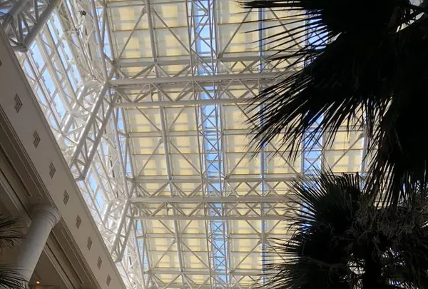 シェラトン・グランデ・オーシャンリゾート - Sheraton Grande Ocean Resortの写真・動画_image_255543
