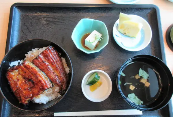 うなぎと和食 うおかっちゃんの写真・動画_image_255604