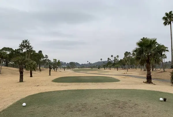 愛和宮崎ゴルフクラブの写真・動画_image_256192