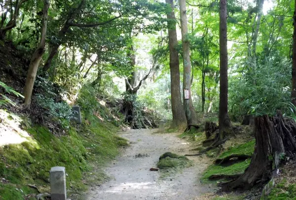 国上寺の写真・動画_image_256419