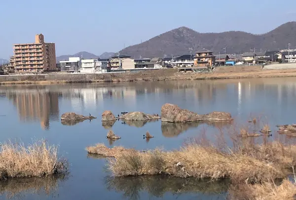 木曽川リバーサイドの写真・動画_image_256433