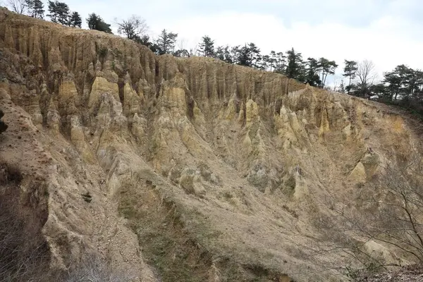 阿波の土柱の写真・動画_image_256457