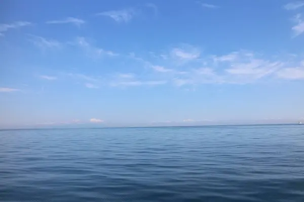 うずしお観潮船の写真・動画_image_256481