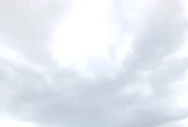 仙酔島の写真・動画_image_256783