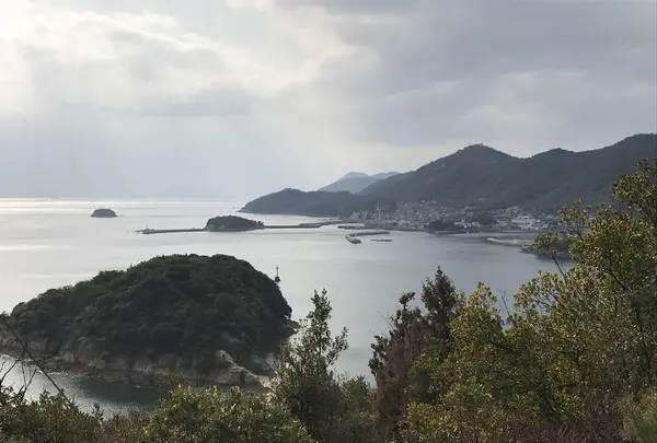 仙酔島の写真・動画_image_256784