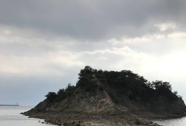 仙酔島の写真・動画_image_256785
