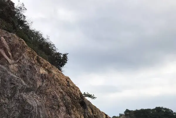 仙酔島の写真・動画_image_256787