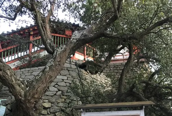 阿伏兎観音の写真・動画_image_256896
