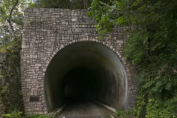 大野ダムの写真・動画_image_256900