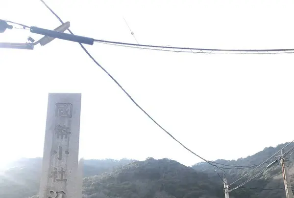沼名前神社の写真・動画_image_257035