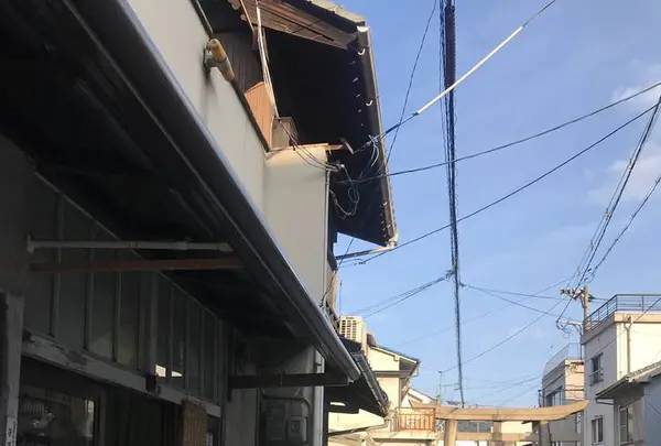沼名前神社の写真・動画_image_257036