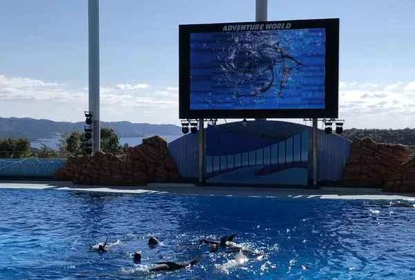 アドベンチャーワールドの写真・動画_image_257140