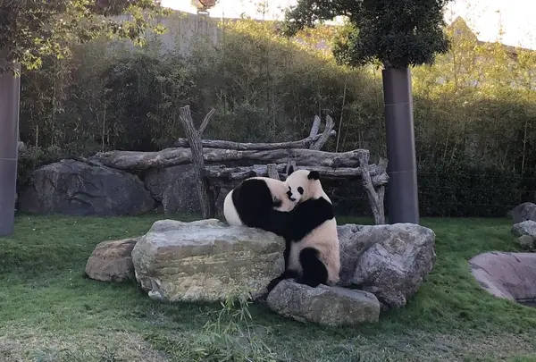 アドベンチャーワールドの写真・動画_image_257141