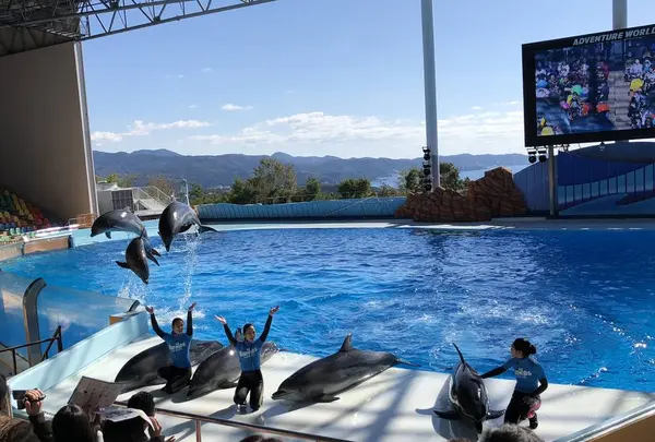 アドベンチャーワールドの写真・動画_image_257142