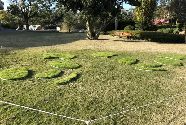 アドベンチャーワールドの写真・動画_image_257143