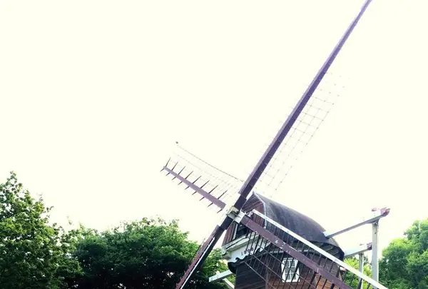 名城公園の写真・動画_image_257181
