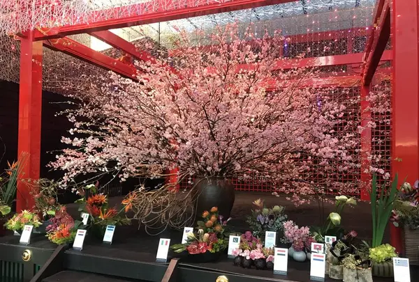 羽田空港（東京国際空港）の写真・動画_image_257240