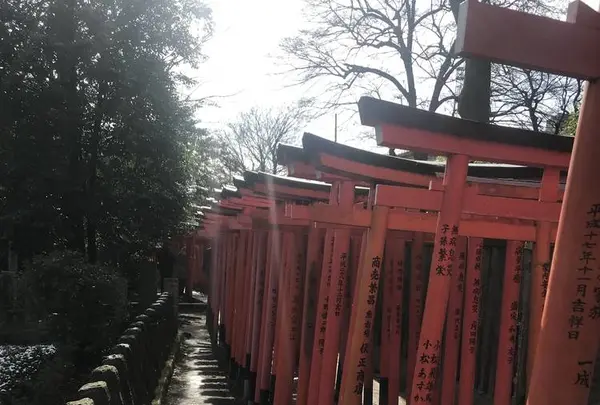 根津神社の写真・動画_image_257241