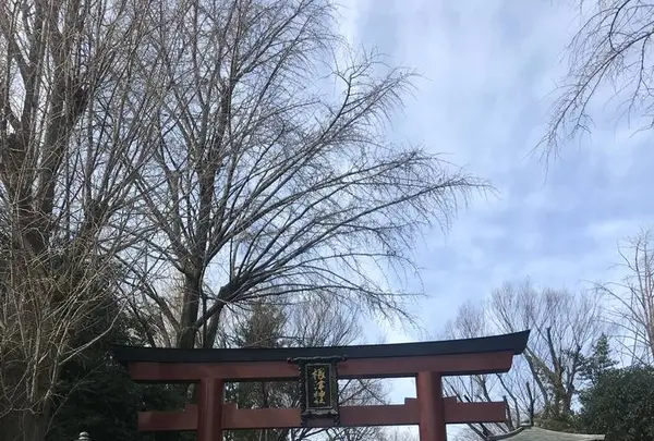 根津神社の写真・動画_image_257242