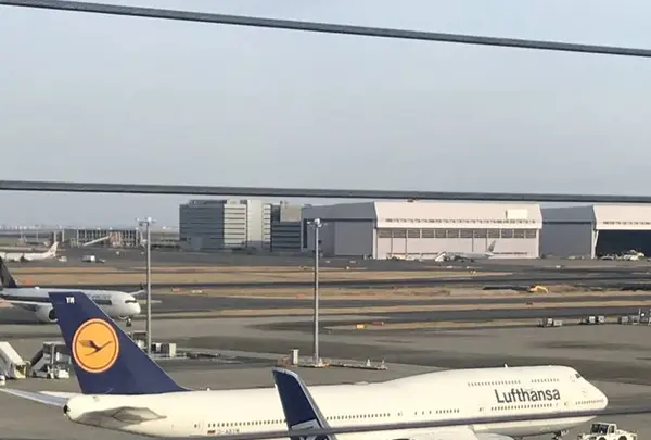 羽田空港国際ターミル 展望デッキの写真・動画_image_257243
