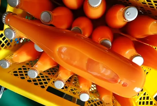 むぎわらFARMの写真・動画_image_257244