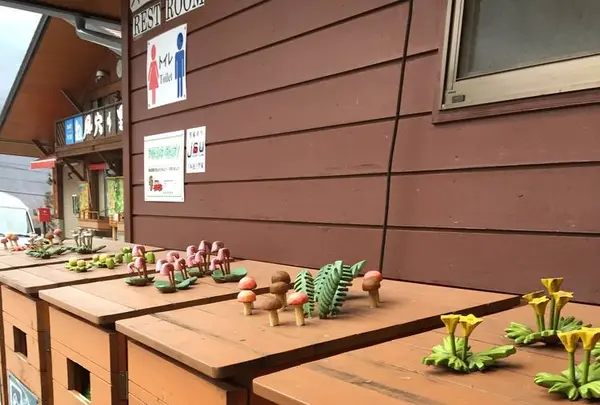 道の駅 風穴の里の写真・動画_image_257384