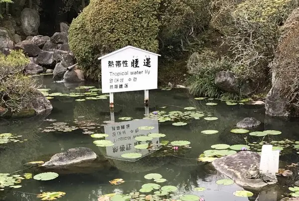 海地獄の写真・動画_image_257386