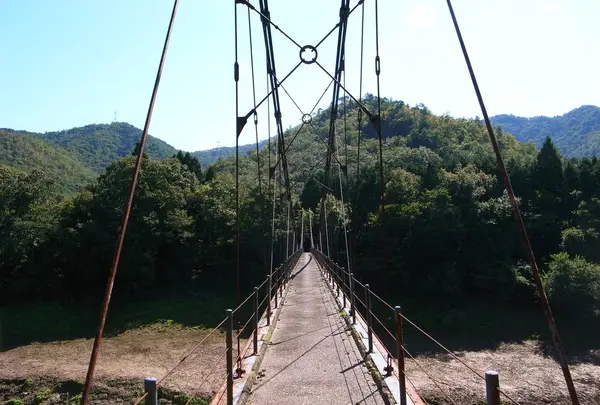 大野ダムの写真・動画_image_257469